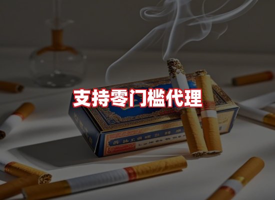 专业团队